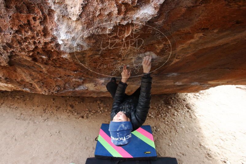 Bouldering in Hueco Tanks on 01/02/2019 with Blue Lizard Climbing and Yoga

Filename: SRM_20190102_1218070.jpg
Aperture: f/5.0
Shutter Speed: 1/200
Body: Canon EOS-1D Mark II
Lens: Canon EF 16-35mm f/2.8 L