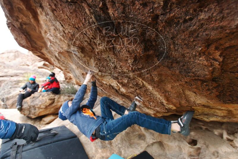 Bouldering in Hueco Tanks on 01/02/2019 with Blue Lizard Climbing and Yoga

Filename: SRM_20190102_1425250.jpg
Aperture: f/5.0
Shutter Speed: 1/320
Body: Canon EOS-1D Mark II
Lens: Canon EF 16-35mm f/2.8 L