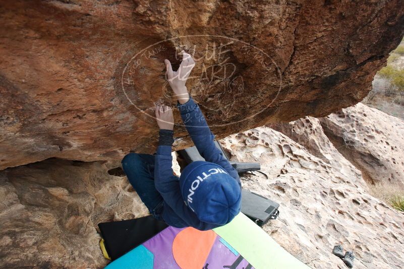 Bouldering in Hueco Tanks on 01/02/2019 with Blue Lizard Climbing and Yoga

Filename: SRM_20190102_1426230.jpg
Aperture: f/6.3
Shutter Speed: 1/320
Body: Canon EOS-1D Mark II
Lens: Canon EF 16-35mm f/2.8 L