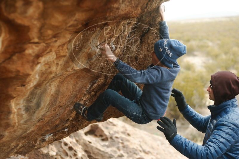 Bouldering in Hueco Tanks on 01/02/2019 with Blue Lizard Climbing and Yoga

Filename: SRM_20190102_1456580.jpg
Aperture: f/2.5
Shutter Speed: 1/400
Body: Canon EOS-1D Mark II
Lens: Canon EF 50mm f/1.8 II