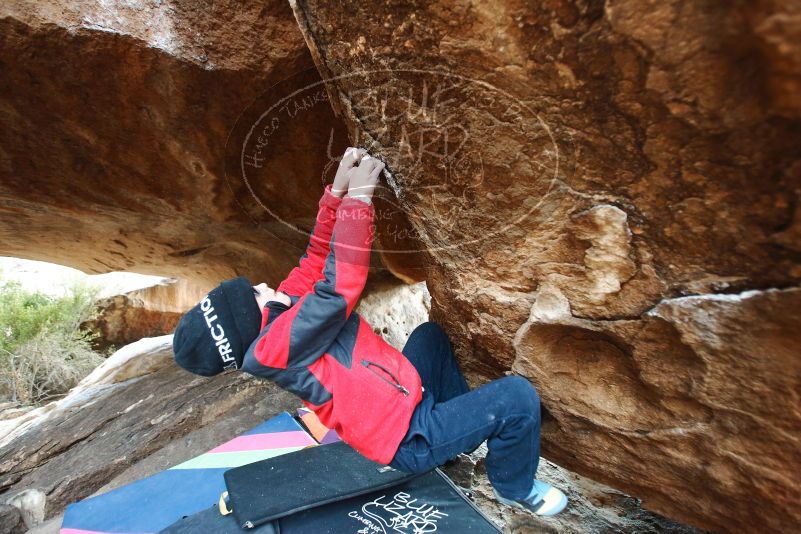 Bouldering in Hueco Tanks on 01/02/2019 with Blue Lizard Climbing and Yoga

Filename: SRM_20190102_1550170.jpg
Aperture: f/2.8
Shutter Speed: 1/320
Body: Canon EOS-1D Mark II
Lens: Canon EF 16-35mm f/2.8 L