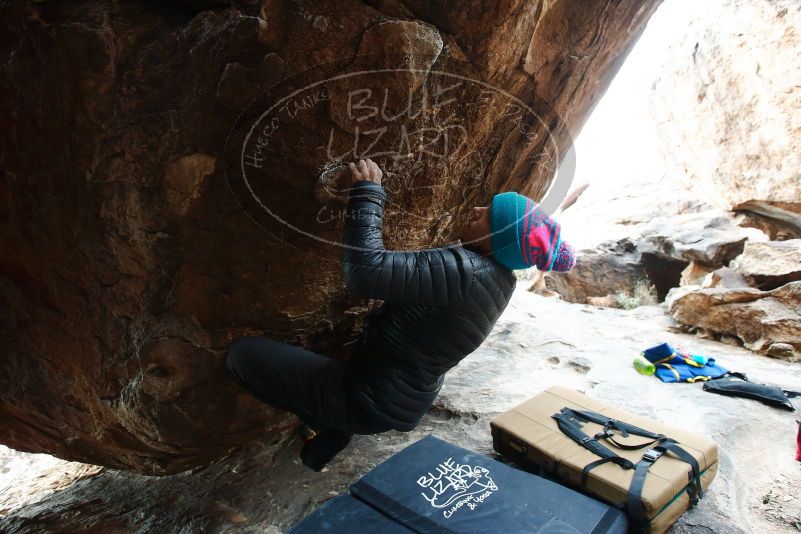 Bouldering in Hueco Tanks on 01/02/2019 with Blue Lizard Climbing and Yoga

Filename: SRM_20190102_1552090.jpg
Aperture: f/4.0
Shutter Speed: 1/250
Body: Canon EOS-1D Mark II
Lens: Canon EF 16-35mm f/2.8 L