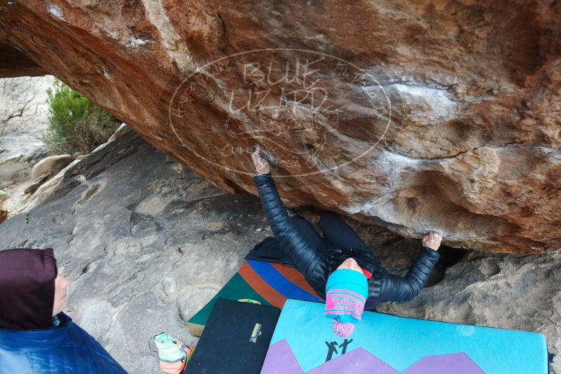 Bouldering in Hueco Tanks on 01/02/2019 with Blue Lizard Climbing and Yoga

Filename: SRM_20190102_1619020.jpg
Aperture: f/4.0
Shutter Speed: 1/250
Body: Canon EOS-1D Mark II
Lens: Canon EF 16-35mm f/2.8 L