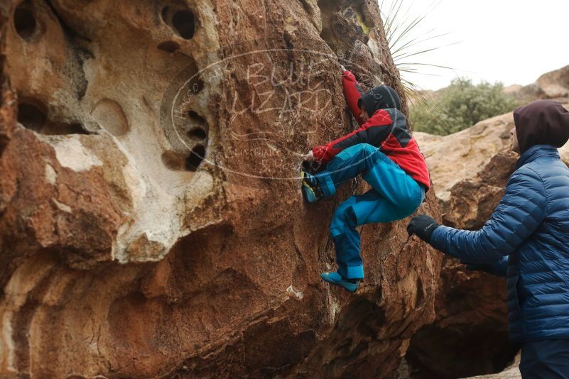 Bouldering in Hueco Tanks on 01/02/2019 with Blue Lizard Climbing and Yoga

Filename: SRM_20190102_1654400.jpg
Aperture: f/4.0
Shutter Speed: 1/320
Body: Canon EOS-1D Mark II
Lens: Canon EF 50mm f/1.8 II