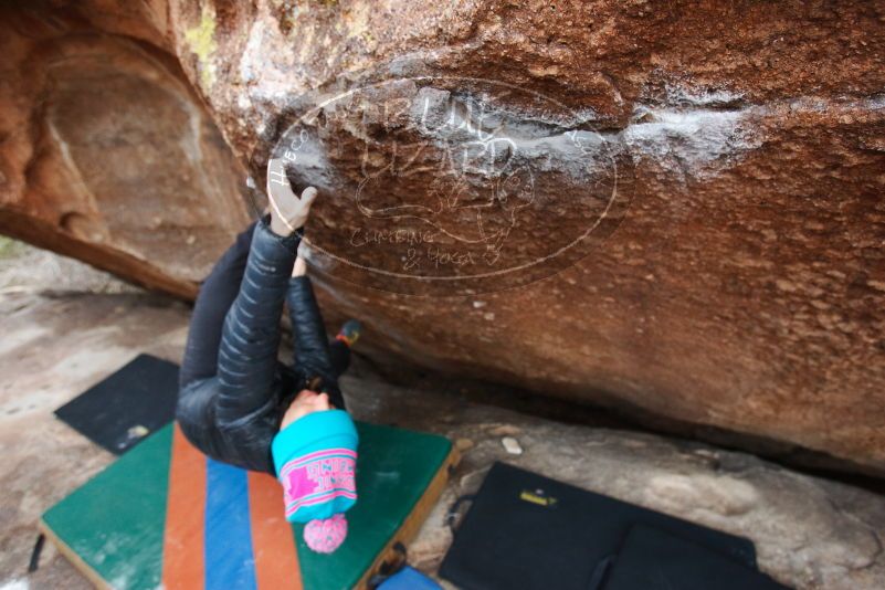 Bouldering in Hueco Tanks on 01/02/2019 with Blue Lizard Climbing and Yoga

Filename: SRM_20190102_1733570.jpg
Aperture: f/3.5
Shutter Speed: 1/160
Body: Canon EOS-1D Mark II
Lens: Canon EF 16-35mm f/2.8 L