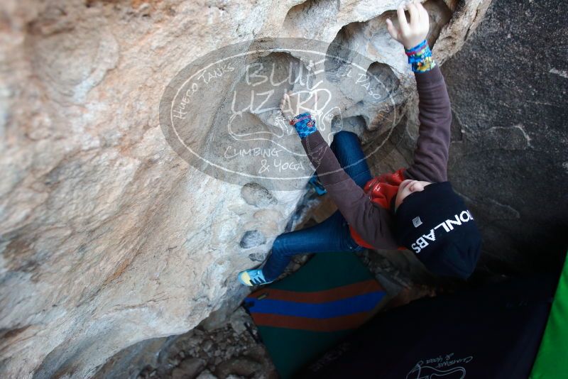 Bouldering in Hueco Tanks on 01/01/2019 with Blue Lizard Climbing and Yoga

Filename: SRM_20190101_1022450.jpg
Aperture: f/3.5
Shutter Speed: 1/200
Body: Canon EOS-1D Mark II
Lens: Canon EF 16-35mm f/2.8 L