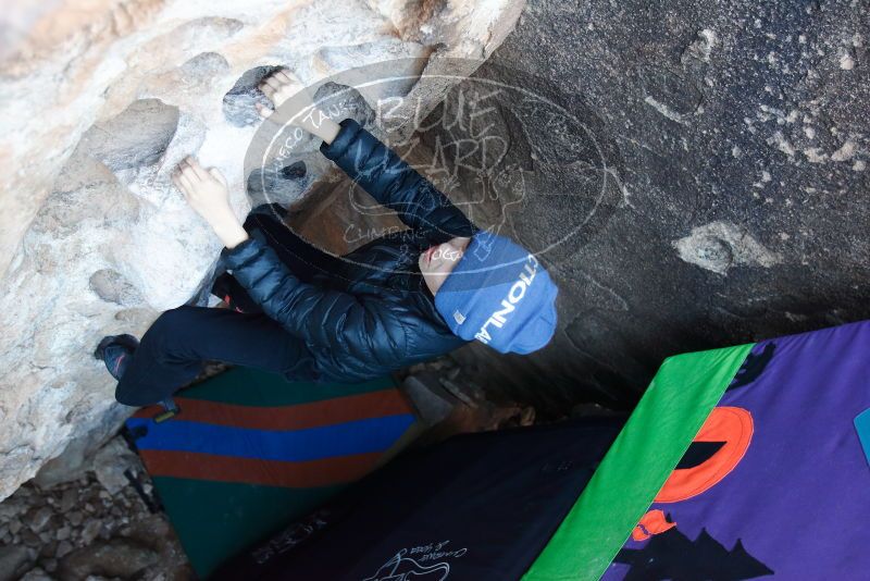 Bouldering in Hueco Tanks on 01/01/2019 with Blue Lizard Climbing and Yoga

Filename: SRM_20190101_1024080.jpg
Aperture: f/3.2
Shutter Speed: 1/200
Body: Canon EOS-1D Mark II
Lens: Canon EF 16-35mm f/2.8 L