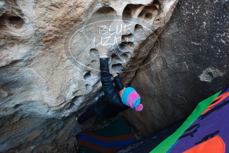 Bouldering in Hueco Tanks on 01/01/2019 with Blue Lizard Climbing and Yoga

Filename: SRM_20190101_1030380.jpg
Aperture: f/4.5
Shutter Speed: 1/160
Body: Canon EOS-1D Mark II
Lens: Canon EF 16-35mm f/2.8 L