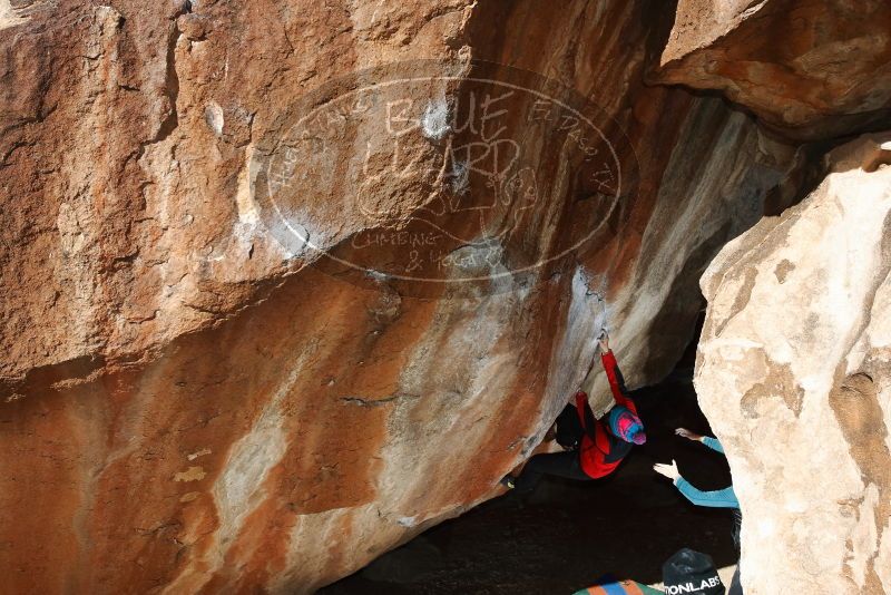 Bouldering in Hueco Tanks on 01/01/2019 with Blue Lizard Climbing and Yoga

Filename: SRM_20190101_1202350.jpg
Aperture: f/8.0
Shutter Speed: 1/250
Body: Canon EOS-1D Mark II
Lens: Canon EF 16-35mm f/2.8 L