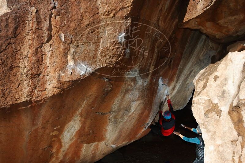 Bouldering in Hueco Tanks on 01/01/2019 with Blue Lizard Climbing and Yoga

Filename: SRM_20190101_1208200.jpg
Aperture: f/9.0
Shutter Speed: 1/250
Body: Canon EOS-1D Mark II
Lens: Canon EF 16-35mm f/2.8 L