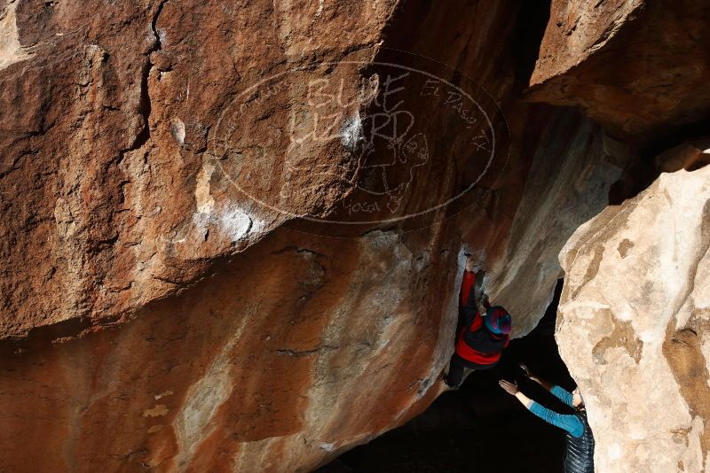 Bouldering in Hueco Tanks on 01/01/2019 with Blue Lizard Climbing and Yoga

Filename: SRM_20190101_1208250.jpg
Aperture: f/9.0
Shutter Speed: 1/250
Body: Canon EOS-1D Mark II
Lens: Canon EF 16-35mm f/2.8 L