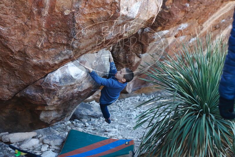 Bouldering in Hueco Tanks on 01/01/2019 with Blue Lizard Climbing and Yoga

Filename: SRM_20190101_1312280.jpg
Aperture: f/3.2
Shutter Speed: 1/250
Body: Canon EOS-1D Mark II
Lens: Canon EF 50mm f/1.8 II