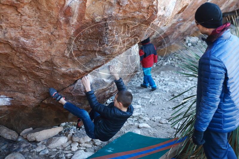 Bouldering in Hueco Tanks on 01/01/2019 with Blue Lizard Climbing and Yoga

Filename: SRM_20190101_1333220.jpg
Aperture: f/3.2
Shutter Speed: 1/250
Body: Canon EOS-1D Mark II
Lens: Canon EF 50mm f/1.8 II