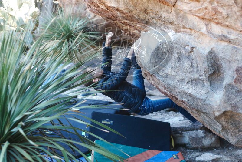 Bouldering in Hueco Tanks on 01/01/2019 with Blue Lizard Climbing and Yoga

Filename: SRM_20190101_1334590.jpg
Aperture: f/2.8
Shutter Speed: 1/250
Body: Canon EOS-1D Mark II
Lens: Canon EF 50mm f/1.8 II