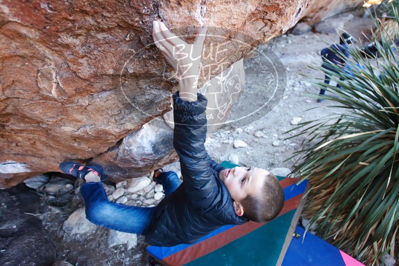 Bouldering in Hueco Tanks on 01/01/2019 with Blue Lizard Climbing and Yoga

Filename: SRM_20190101_1336090.jpg
Aperture: f/3.5
Shutter Speed: 1/250
Body: Canon EOS-1D Mark II
Lens: Canon EF 16-35mm f/2.8 L