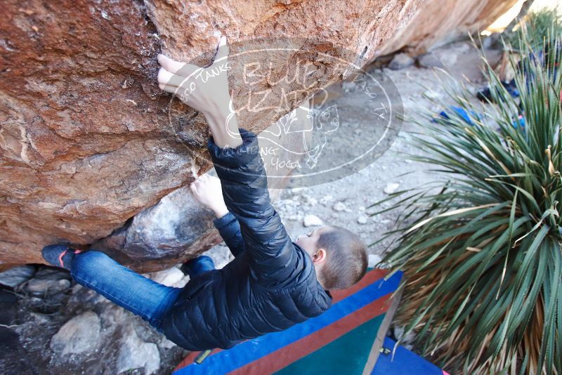 Bouldering in Hueco Tanks on 01/01/2019 with Blue Lizard Climbing and Yoga

Filename: SRM_20190101_1336110.jpg
Aperture: f/3.2
Shutter Speed: 1/250
Body: Canon EOS-1D Mark II
Lens: Canon EF 16-35mm f/2.8 L