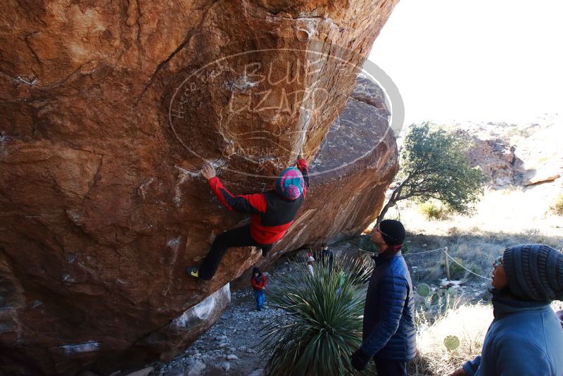 Bouldering in Hueco Tanks on 01/01/2019 with Blue Lizard Climbing and Yoga

Filename: SRM_20190101_1351070.jpg
Aperture: f/7.1
Shutter Speed: 1/250
Body: Canon EOS-1D Mark II
Lens: Canon EF 16-35mm f/2.8 L