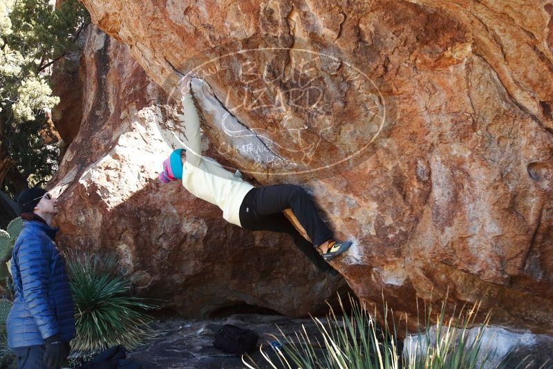 Bouldering in Hueco Tanks on 01/01/2019 with Blue Lizard Climbing and Yoga

Filename: SRM_20190101_1413370.jpg
Aperture: f/5.6
Shutter Speed: 1/250
Body: Canon EOS-1D Mark II
Lens: Canon EF 16-35mm f/2.8 L