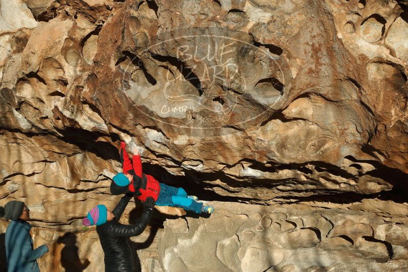 Bouldering in Hueco Tanks on 01/01/2019 with Blue Lizard Climbing and Yoga

Filename: SRM_20190101_1706210.jpg
Aperture: f/4.0
Shutter Speed: 1/800
Body: Canon EOS-1D Mark II
Lens: Canon EF 50mm f/1.8 II