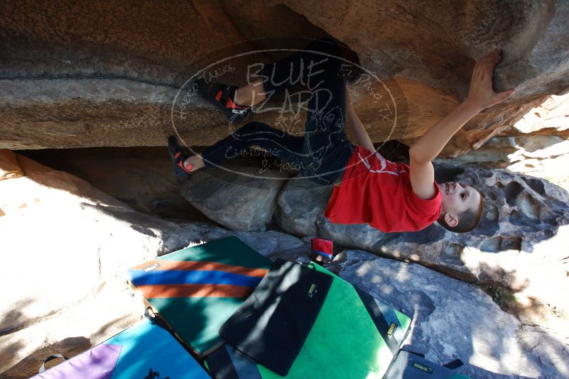 Bouldering in Hueco Tanks on 12/31/2018 with Blue Lizard Climbing and Yoga

Filename: SRM_20181231_1607080.jpg
Aperture: f/6.3
Shutter Speed: 1/250
Body: Canon EOS-1D Mark II
Lens: Canon EF 16-35mm f/2.8 L