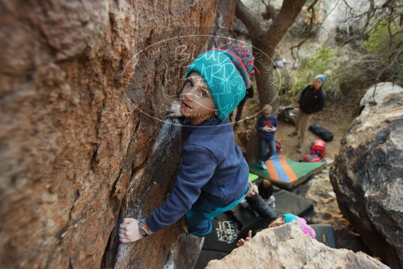 Bouldering in Hueco Tanks on 12/31/2018 with Blue Lizard Climbing and Yoga

Filename: SRM_20181231_1759340.jpg
Aperture: f/2.8
Shutter Speed: 1/100
Body: Canon EOS-1D Mark II
Lens: Canon EF 16-35mm f/2.8 L