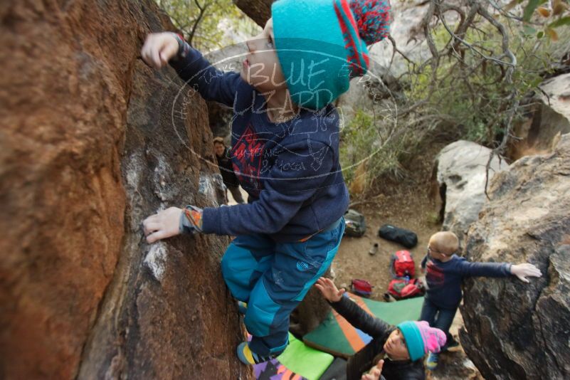 Bouldering in Hueco Tanks on 12/31/2018 with Blue Lizard Climbing and Yoga

Filename: SRM_20181231_1802180.jpg
Aperture: f/2.8
Shutter Speed: 1/100
Body: Canon EOS-1D Mark II
Lens: Canon EF 16-35mm f/2.8 L