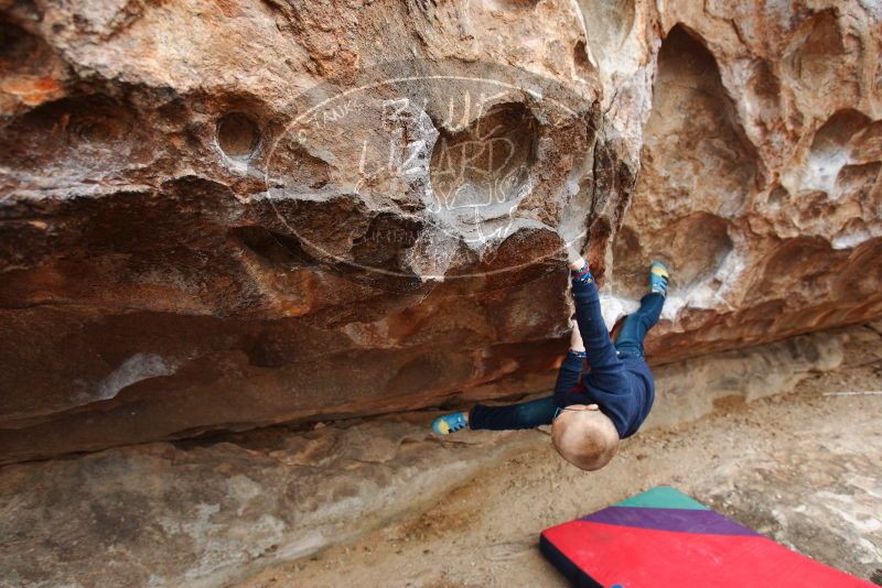 Bouldering in Hueco Tanks on 12/28/2018 with Blue Lizard Climbing and Yoga

Filename: SRM_20181228_0955520.jpg
Aperture: f/4.5
Shutter Speed: 1/200
Body: Canon EOS-1D Mark II
Lens: Canon EF 16-35mm f/2.8 L