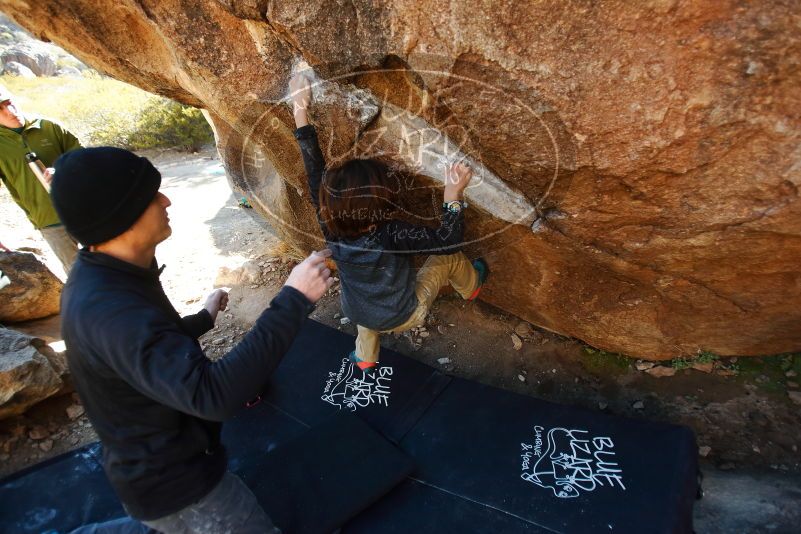 Bouldering in Hueco Tanks on 01/05/2019 with Blue Lizard Climbing and Yoga

Filename: SRM_20190105_1146460.jpg
Aperture: f/2.8
Shutter Speed: 1/250
Body: Canon EOS-1D Mark II
Lens: Canon EF 16-35mm f/2.8 L