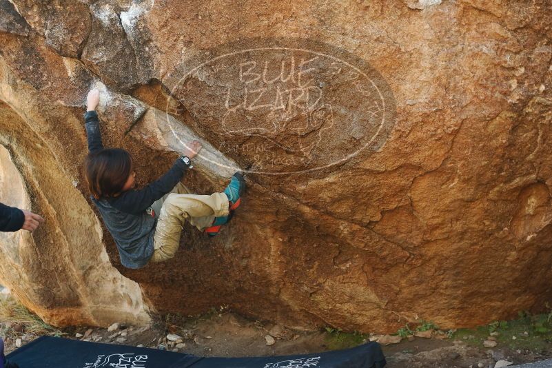 Bouldering in Hueco Tanks on 01/05/2019 with Blue Lizard Climbing and Yoga

Filename: SRM_20190105_1151530.jpg
Aperture: f/3.2
Shutter Speed: 1/250
Body: Canon EOS-1D Mark II
Lens: Canon EF 50mm f/1.8 II