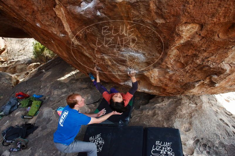 Bouldering in Hueco Tanks on 01/05/2019 with Blue Lizard Climbing and Yoga

Filename: SRM_20190105_1608090.jpg
Aperture: f/4.5
Shutter Speed: 1/250
Body: Canon EOS-1D Mark II
Lens: Canon EF 16-35mm f/2.8 L