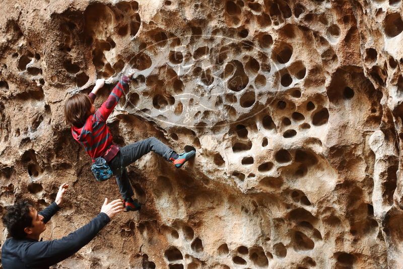 Bouldering in Hueco Tanks on 01/06/2019 with Blue Lizard Climbing and Yoga

Filename: SRM_20190106_1142100.jpg
Aperture: f/3.5
Shutter Speed: 1/100
Body: Canon EOS-1D Mark II
Lens: Canon EF 50mm f/1.8 II