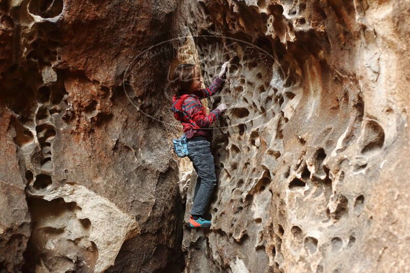 Bouldering in Hueco Tanks on 01/06/2019 with Blue Lizard Climbing and Yoga

Filename: SRM_20190106_1156200.jpg
Aperture: f/3.5
Shutter Speed: 1/80
Body: Canon EOS-1D Mark II
Lens: Canon EF 50mm f/1.8 II