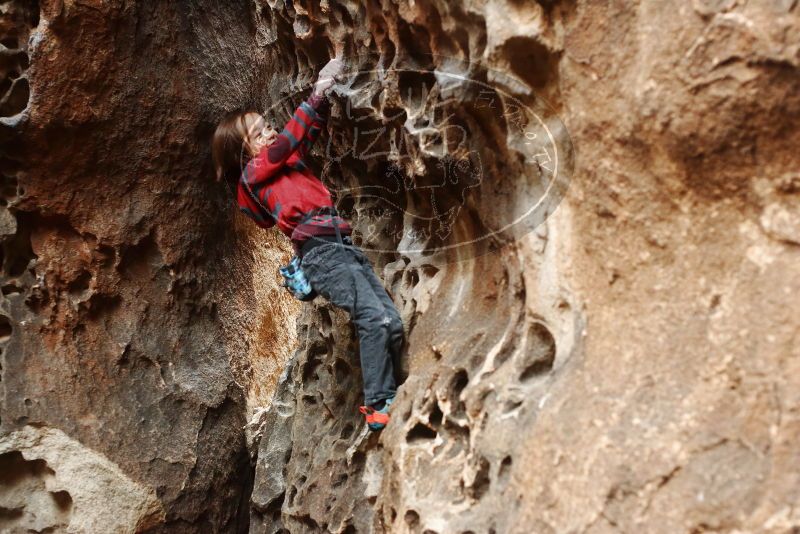 Bouldering in Hueco Tanks on 01/06/2019 with Blue Lizard Climbing and Yoga

Filename: SRM_20190106_1156330.jpg
Aperture: f/3.2
Shutter Speed: 1/125
Body: Canon EOS-1D Mark II
Lens: Canon EF 50mm f/1.8 II