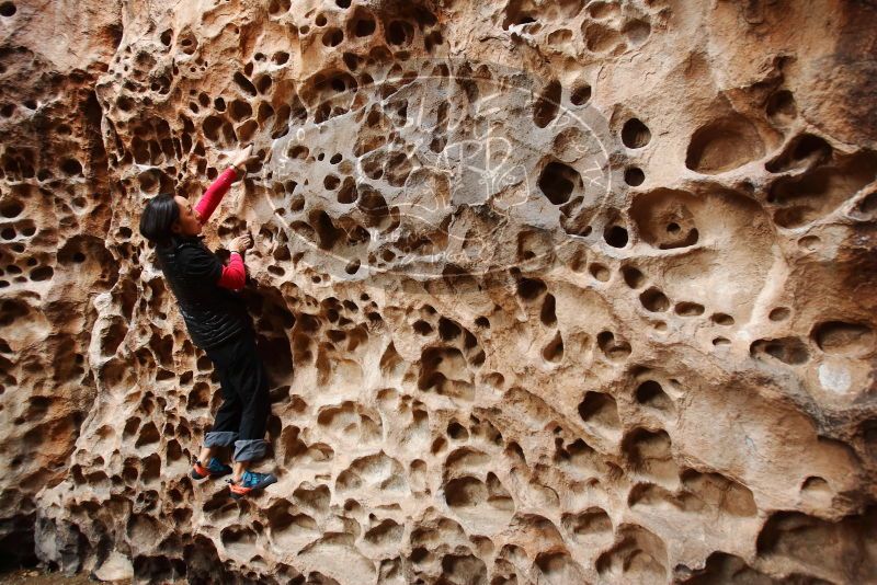 Bouldering in Hueco Tanks on 01/06/2019 with Blue Lizard Climbing and Yoga

Filename: SRM_20190106_1202220.jpg
Aperture: f/4.0
Shutter Speed: 1/80
Body: Canon EOS-1D Mark II
Lens: Canon EF 16-35mm f/2.8 L