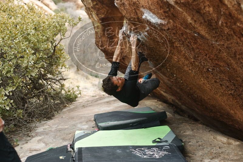 Bouldering in Hueco Tanks on 01/06/2019 with Blue Lizard Climbing and Yoga

Filename: SRM_20190106_1321070.jpg
Aperture: f/2.8
Shutter Speed: 1/320
Body: Canon EOS-1D Mark II
Lens: Canon EF 50mm f/1.8 II