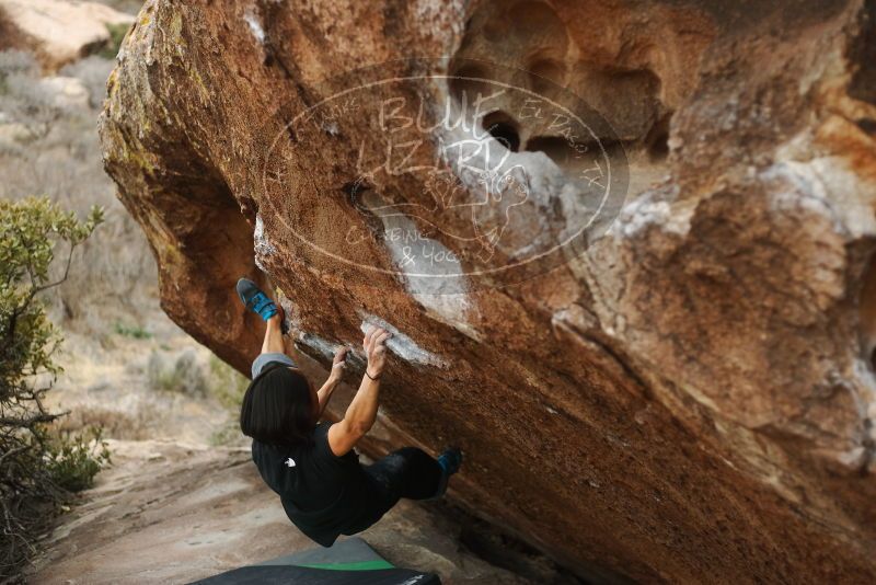 Bouldering in Hueco Tanks on 01/06/2019 with Blue Lizard Climbing and Yoga

Filename: SRM_20190106_1331120.jpg
Aperture: f/2.5
Shutter Speed: 1/500
Body: Canon EOS-1D Mark II
Lens: Canon EF 50mm f/1.8 II