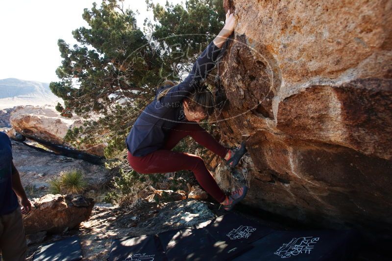 Bouldering in Hueco Tanks on 01/12/2019 with Blue Lizard Climbing and Yoga

Filename: SRM_20190112_1049290.jpg
Aperture: f/7.1
Shutter Speed: 1/250
Body: Canon EOS-1D Mark II
Lens: Canon EF 16-35mm f/2.8 L