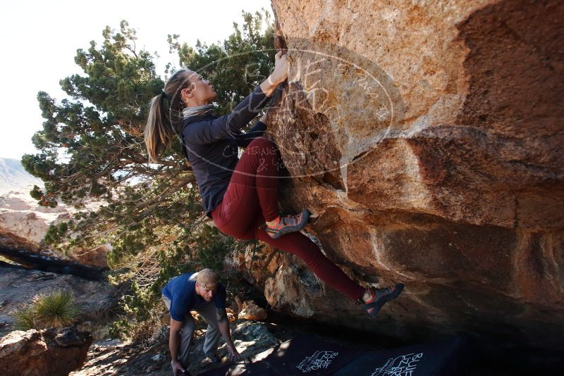 Bouldering in Hueco Tanks on 01/12/2019 with Blue Lizard Climbing and Yoga

Filename: SRM_20190112_1049370.jpg
Aperture: f/7.1
Shutter Speed: 1/250
Body: Canon EOS-1D Mark II
Lens: Canon EF 16-35mm f/2.8 L