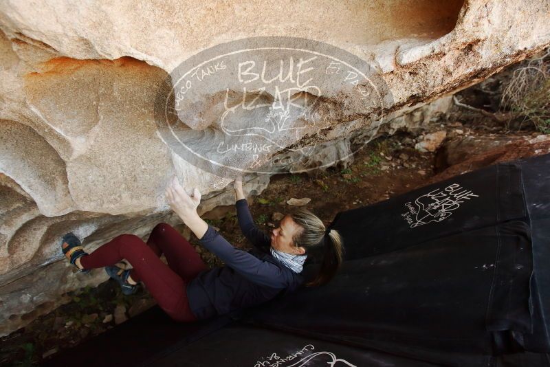 Bouldering in Hueco Tanks on 01/12/2019 with Blue Lizard Climbing and Yoga

Filename: SRM_20190112_1101530.jpg
Aperture: f/4.5
Shutter Speed: 1/200
Body: Canon EOS-1D Mark II
Lens: Canon EF 16-35mm f/2.8 L