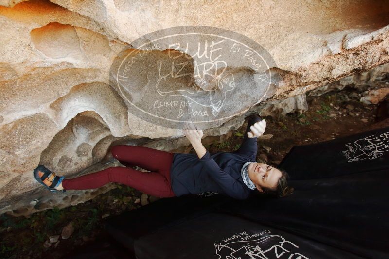 Bouldering in Hueco Tanks on 01/12/2019 with Blue Lizard Climbing and Yoga

Filename: SRM_20190112_1101560.jpg
Aperture: f/4.5
Shutter Speed: 1/200
Body: Canon EOS-1D Mark II
Lens: Canon EF 16-35mm f/2.8 L