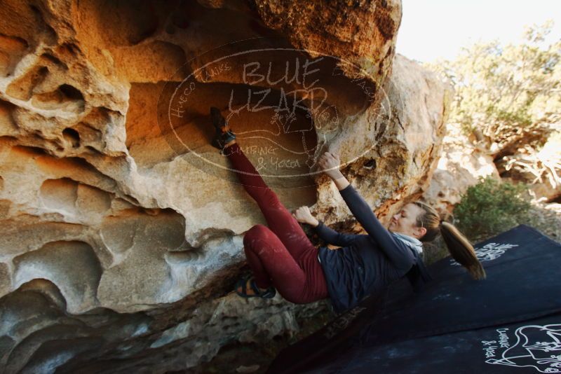 Bouldering in Hueco Tanks on 01/12/2019 with Blue Lizard Climbing and Yoga

Filename: SRM_20190112_1106000.jpg
Aperture: f/7.1
Shutter Speed: 1/200
Body: Canon EOS-1D Mark II
Lens: Canon EF 16-35mm f/2.8 L