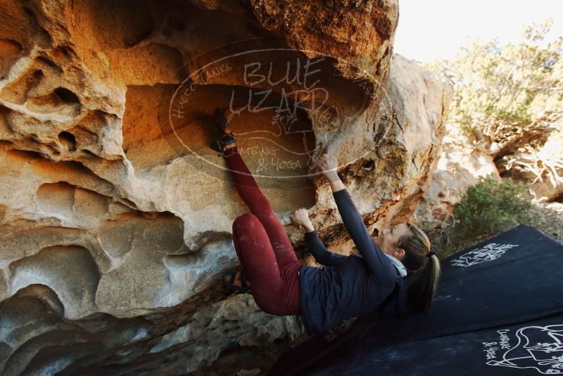 Bouldering in Hueco Tanks on 01/12/2019 with Blue Lizard Climbing and Yoga

Filename: SRM_20190112_1106001.jpg
Aperture: f/7.1
Shutter Speed: 1/200
Body: Canon EOS-1D Mark II
Lens: Canon EF 16-35mm f/2.8 L