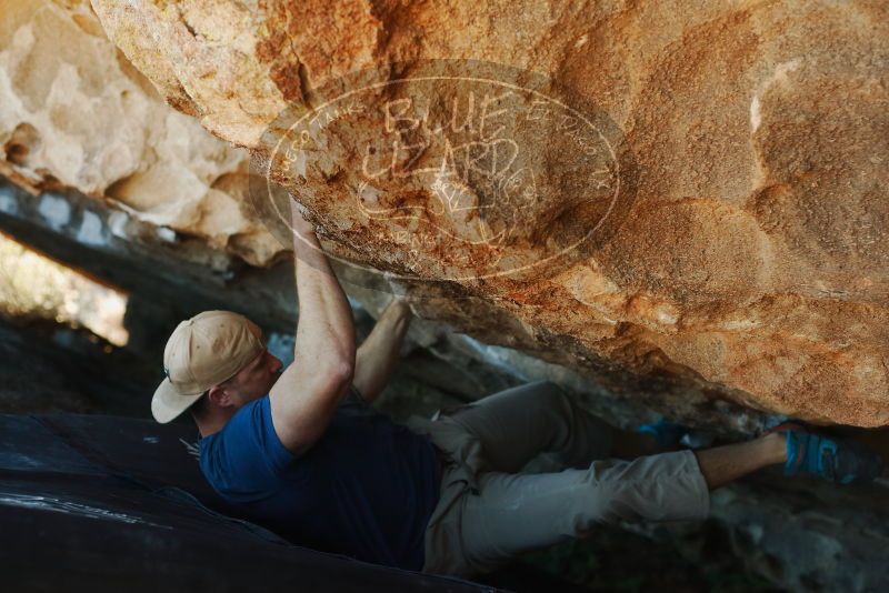 Bouldering in Hueco Tanks on 01/12/2019 with Blue Lizard Climbing and Yoga

Filename: SRM_20190112_1112380.jpg
Aperture: f/3.2
Shutter Speed: 1/250
Body: Canon EOS-1D Mark II
Lens: Canon EF 50mm f/1.8 II