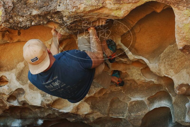 Bouldering in Hueco Tanks on 01/12/2019 with Blue Lizard Climbing and Yoga

Filename: SRM_20190112_1121580.jpg
Aperture: f/4.0
Shutter Speed: 1/250
Body: Canon EOS-1D Mark II
Lens: Canon EF 50mm f/1.8 II