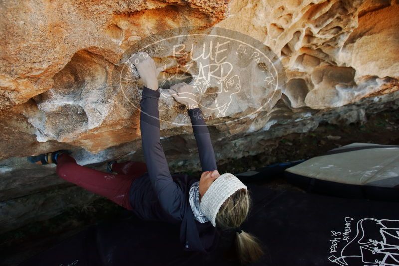 Bouldering in Hueco Tanks on 01/12/2019 with Blue Lizard Climbing and Yoga

Filename: SRM_20190112_1158000.jpg
Aperture: f/4.0
Shutter Speed: 1/250
Body: Canon EOS-1D Mark II
Lens: Canon EF 16-35mm f/2.8 L