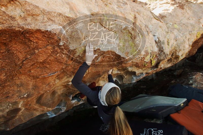 Bouldering in Hueco Tanks on 01/12/2019 with Blue Lizard Climbing and Yoga

Filename: SRM_20190112_1158320.jpg
Aperture: f/6.3
Shutter Speed: 1/250
Body: Canon EOS-1D Mark II
Lens: Canon EF 16-35mm f/2.8 L