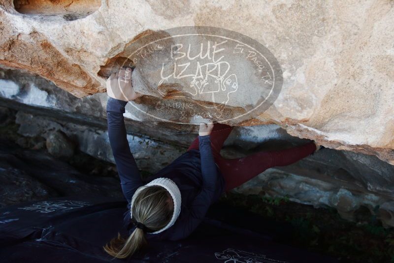 Bouldering in Hueco Tanks on 01/12/2019 with Blue Lizard Climbing and Yoga

Filename: SRM_20190112_1205410.jpg
Aperture: f/4.0
Shutter Speed: 1/250
Body: Canon EOS-1D Mark II
Lens: Canon EF 16-35mm f/2.8 L