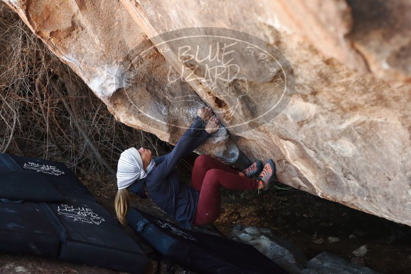 Bouldering in Hueco Tanks on 01/12/2019 with Blue Lizard Climbing and Yoga

Filename: SRM_20190112_1244380.jpg
Aperture: f/3.5
Shutter Speed: 1/250
Body: Canon EOS-1D Mark II
Lens: Canon EF 50mm f/1.8 II