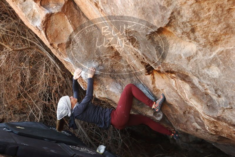 Bouldering in Hueco Tanks on 01/12/2019 with Blue Lizard Climbing and Yoga

Filename: SRM_20190112_1252220.jpg
Aperture: f/3.5
Shutter Speed: 1/250
Body: Canon EOS-1D Mark II
Lens: Canon EF 50mm f/1.8 II