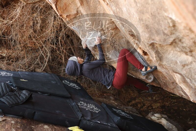 Bouldering in Hueco Tanks on 01/12/2019 with Blue Lizard Climbing and Yoga

Filename: SRM_20190112_1306300.jpg
Aperture: f/3.2
Shutter Speed: 1/320
Body: Canon EOS-1D Mark II
Lens: Canon EF 50mm f/1.8 II